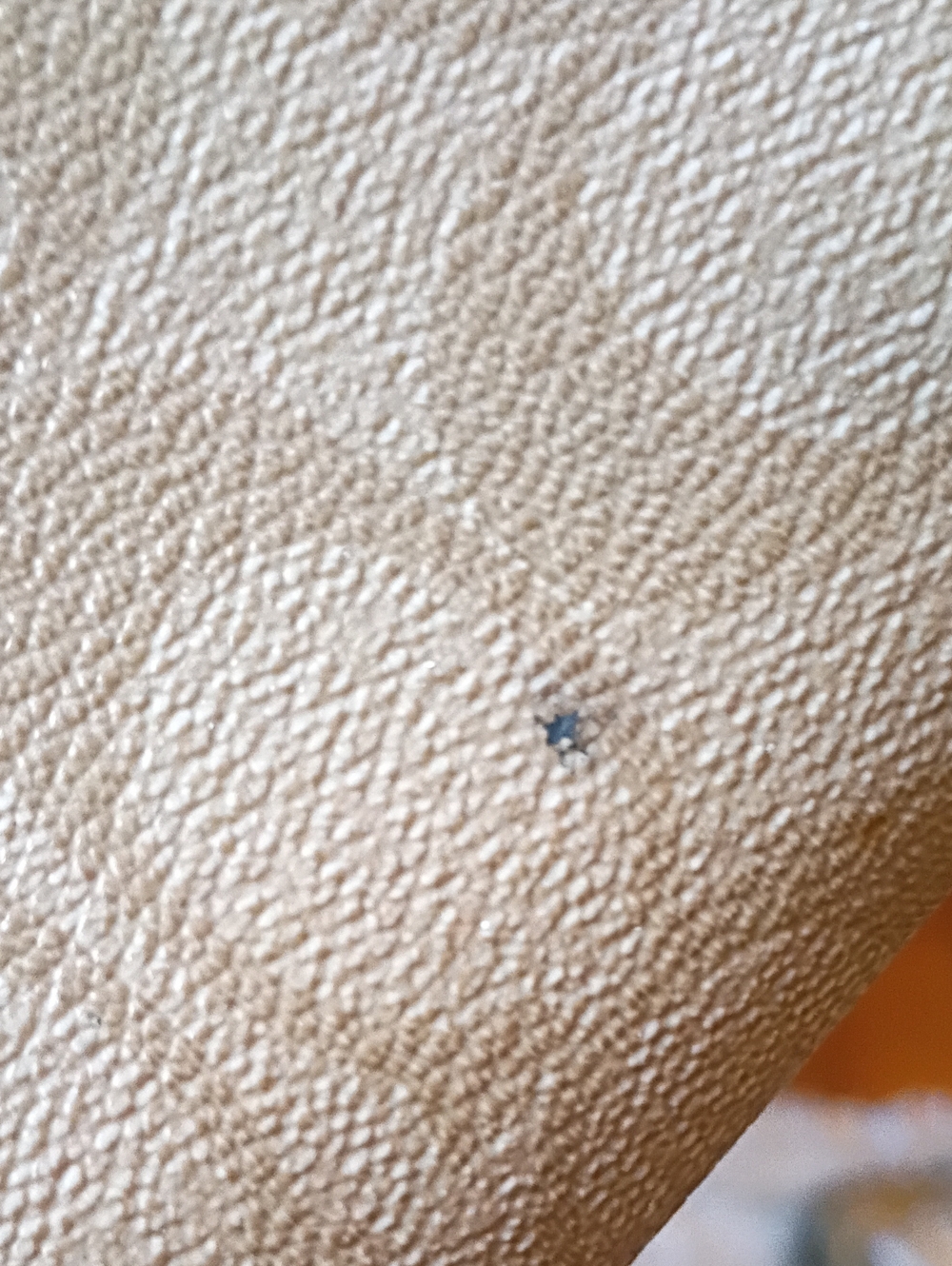 Coach Compact Monogram Wallet - Picture 14 of 14